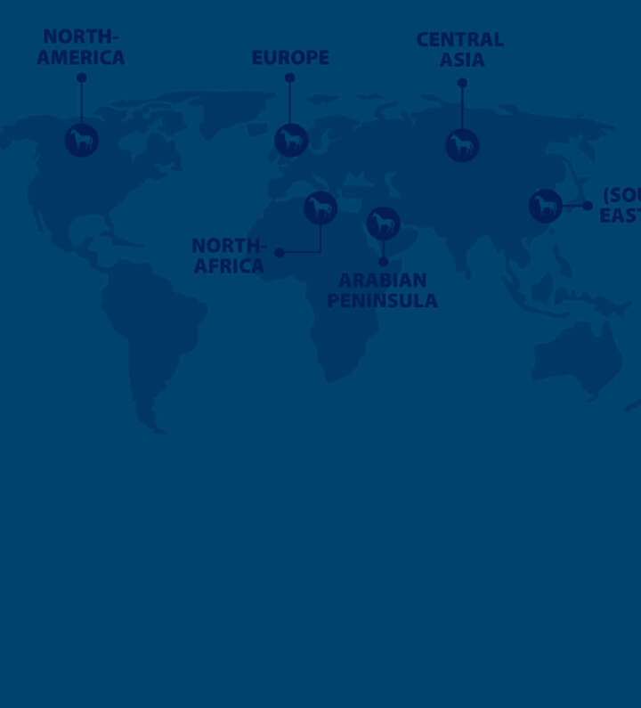 teaser internationale kunden startseite teaser internationale kunden startseite